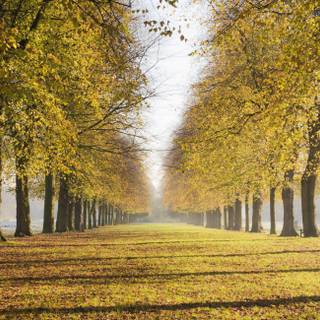 British farms English countryside wallpaper