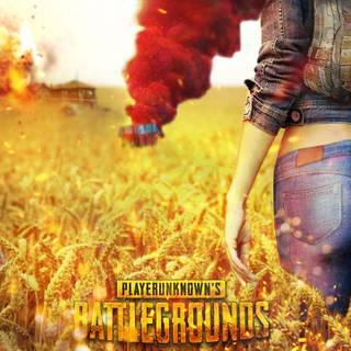 PUBG for PC wallpaper