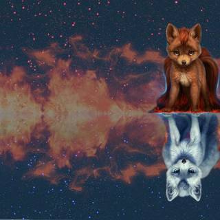 Ninetales Pokémon wallpaper