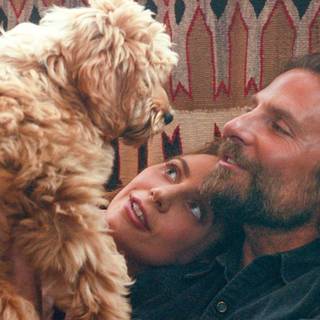 Bradley Cooper 2019 wallpaper