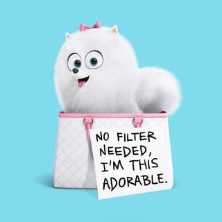 The Secret Life of Pets 2 wallpaper