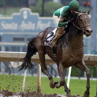 Belmont Stakes wallpaper