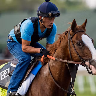 Belmont Stakes wallpaper