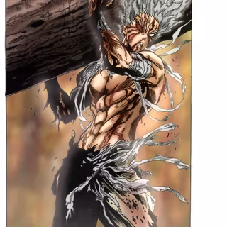 Garou One-Punch Man wallpaper