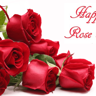 Rose Day wallpaper