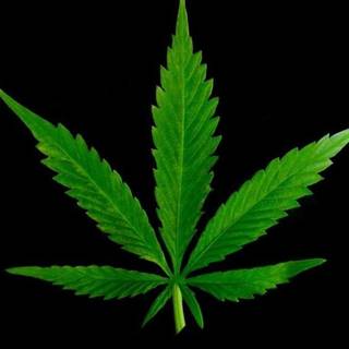 Smoke weed wallpaper