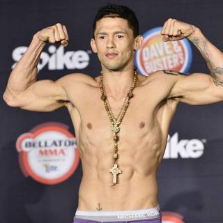 Bellator 222 wallpaper