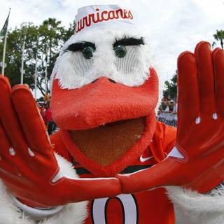 Sebastian the Ibis wallpaper