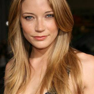 Sarah Roemer wallpaper