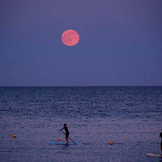 Strawberry Moon 2019 wallpaper