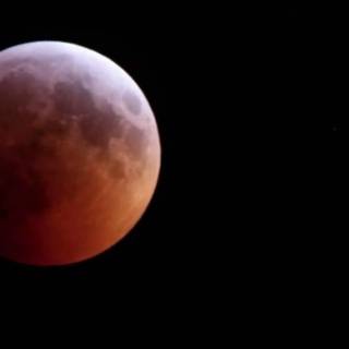 Strawberry Moon 2019 wallpaper