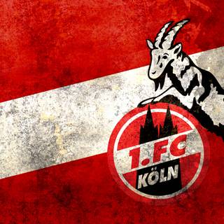 1. FC Köln wallpaper