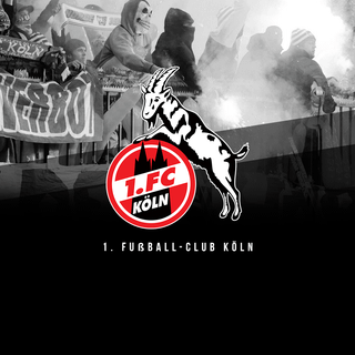 1. FC Köln wallpaper