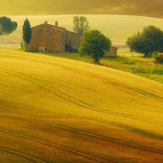 1080×2340 wallpaper