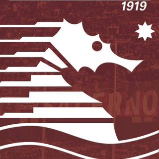 U.S. Salernitana 1919 wallpaper
