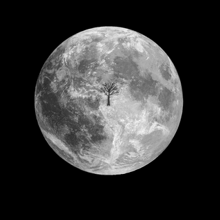 XXXTentacion Moonlight wallpaper