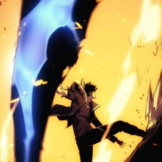 Sung Jin-Woo wallpaper