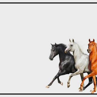 Old Town Road horses wallpaper