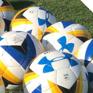 2019 FIFA Women's World Cup wallpaper