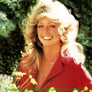 Farrah Fawcett wallpaper