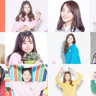 Produce x 101 wallpaper