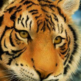 Tiger painting wallpaper