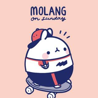 Cute Molang wallpaper