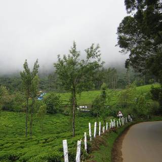 Landscape Ooty wallpaper