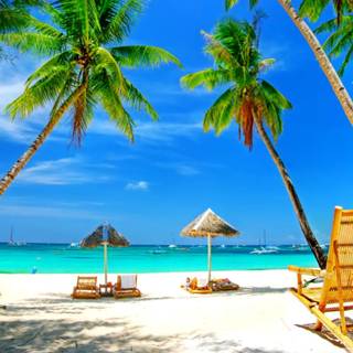 Tropical beach paradise wallpaper