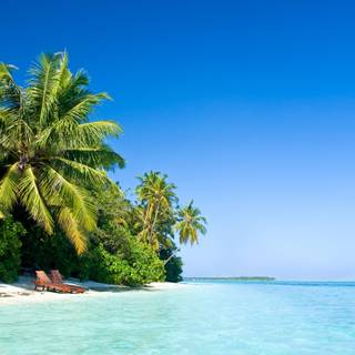Tropical beach paradise wallpaper