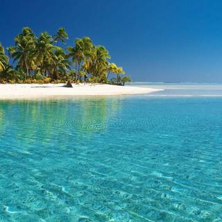 Tropical beach paradise wallpaper