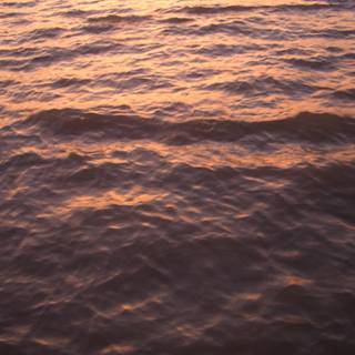 Colors of summer wallpaper