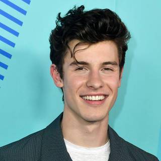 Shawn Mendes and Camila Cabello Señorita wallpaper