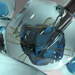 Bayer company wallpaper