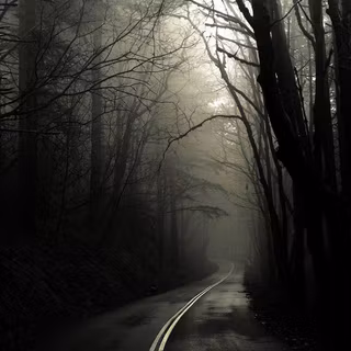 Misty forest road wallpaper