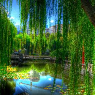 Garden lake wallpaper