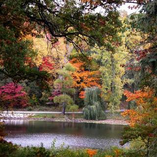 Garden lake wallpaper