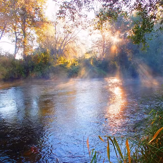 Morning river wallpaper