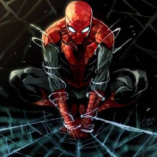 Spider-Man artwork wallpaper