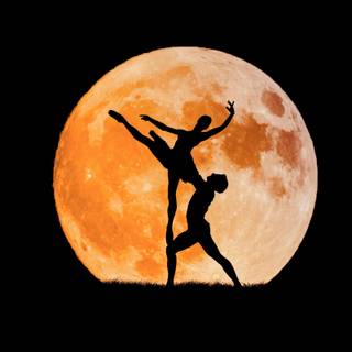Moonlit Dance wallpaper