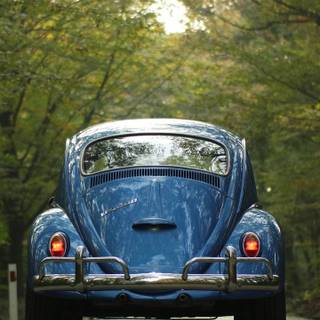 Fusca wallpaper