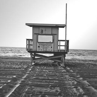 Beach life wallpaper