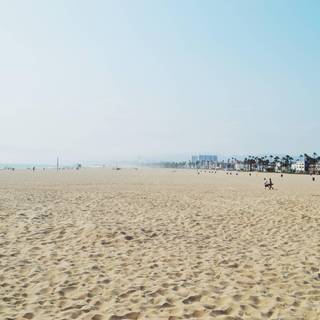 Beach life wallpaper