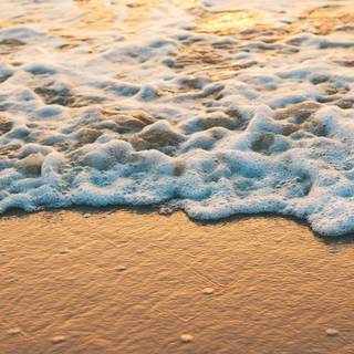 Golden sea wallpaper