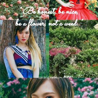 Red Velvet Zimzalabim wallpaper