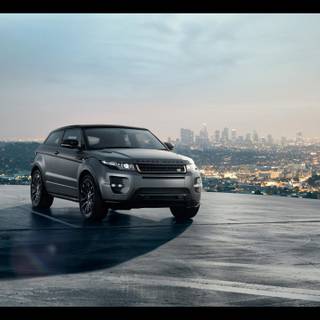 Free range wallpaper