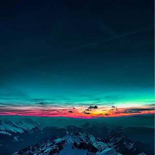 Free range wallpaper