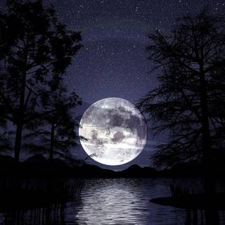 Full moon over the lake wallpaper