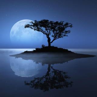 Full moon over the lake wallpaper