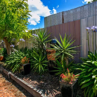 Mount Hutton wallpaper